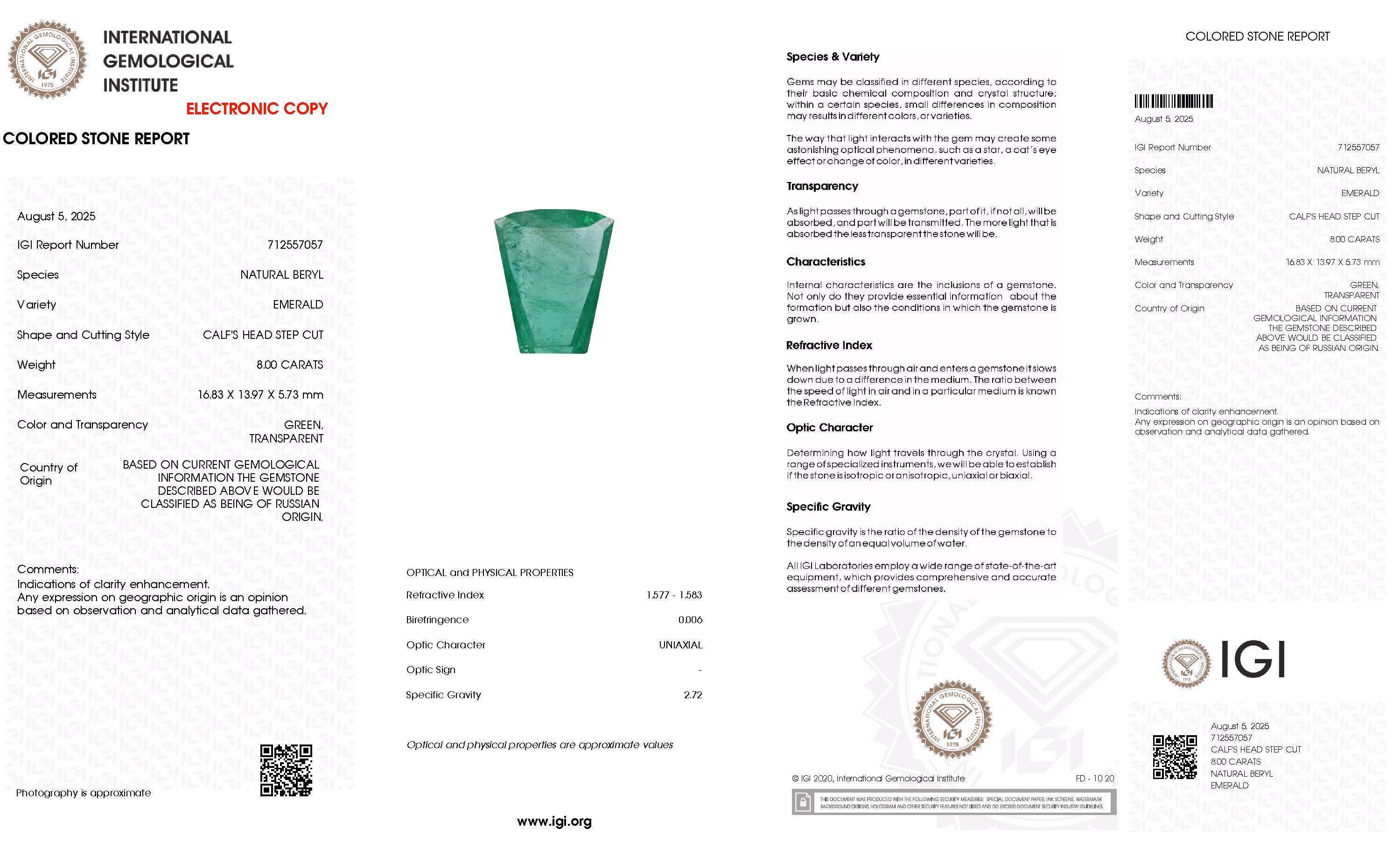 IGI lab report