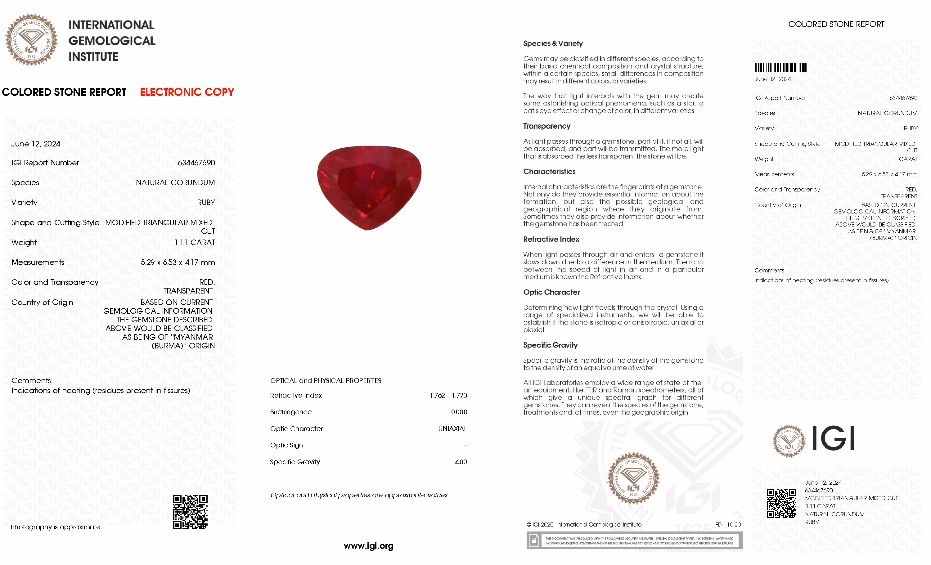 IGI lab report