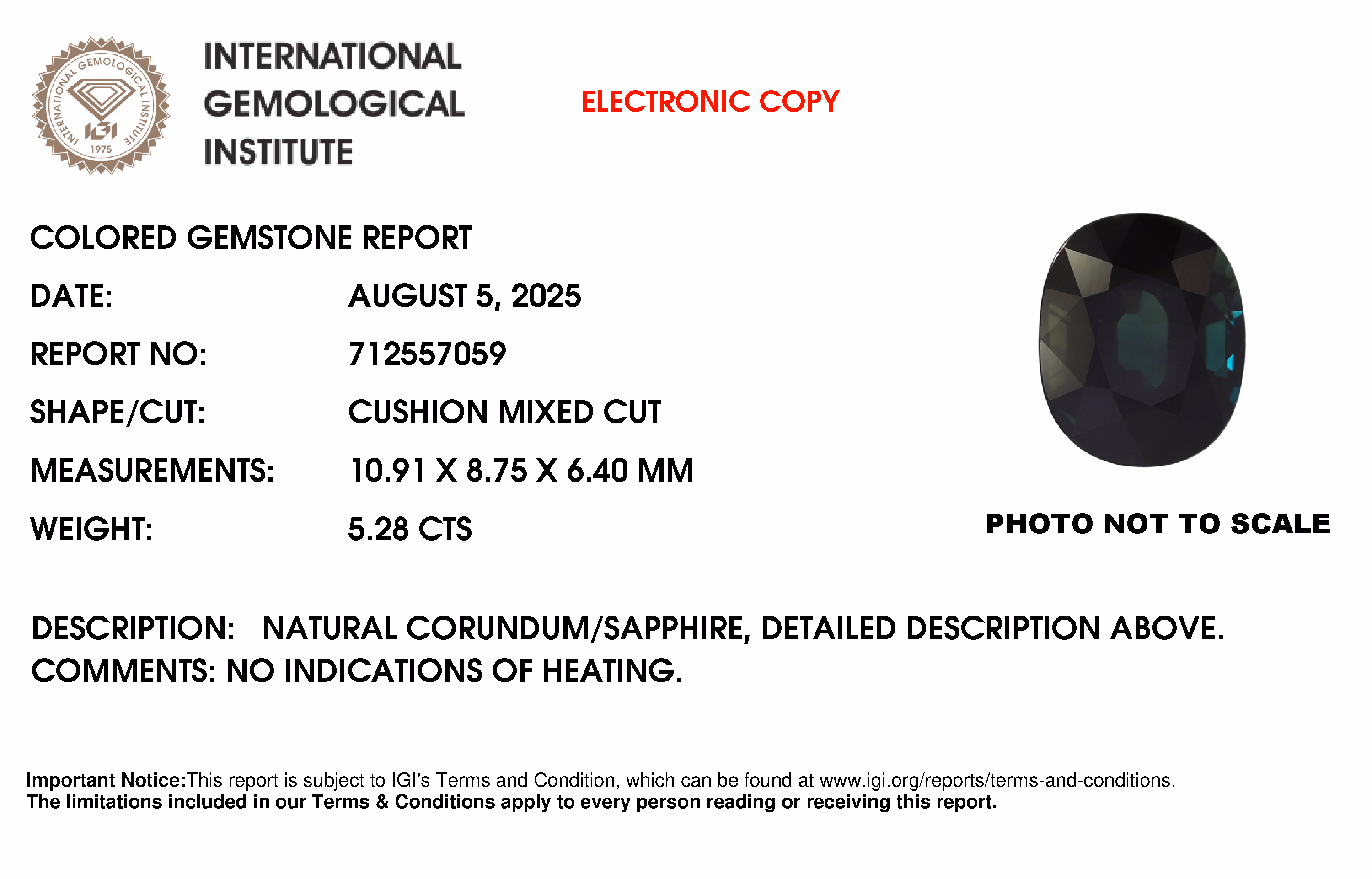 IGI lab report