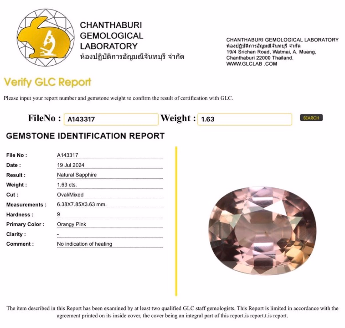 GLC lab report