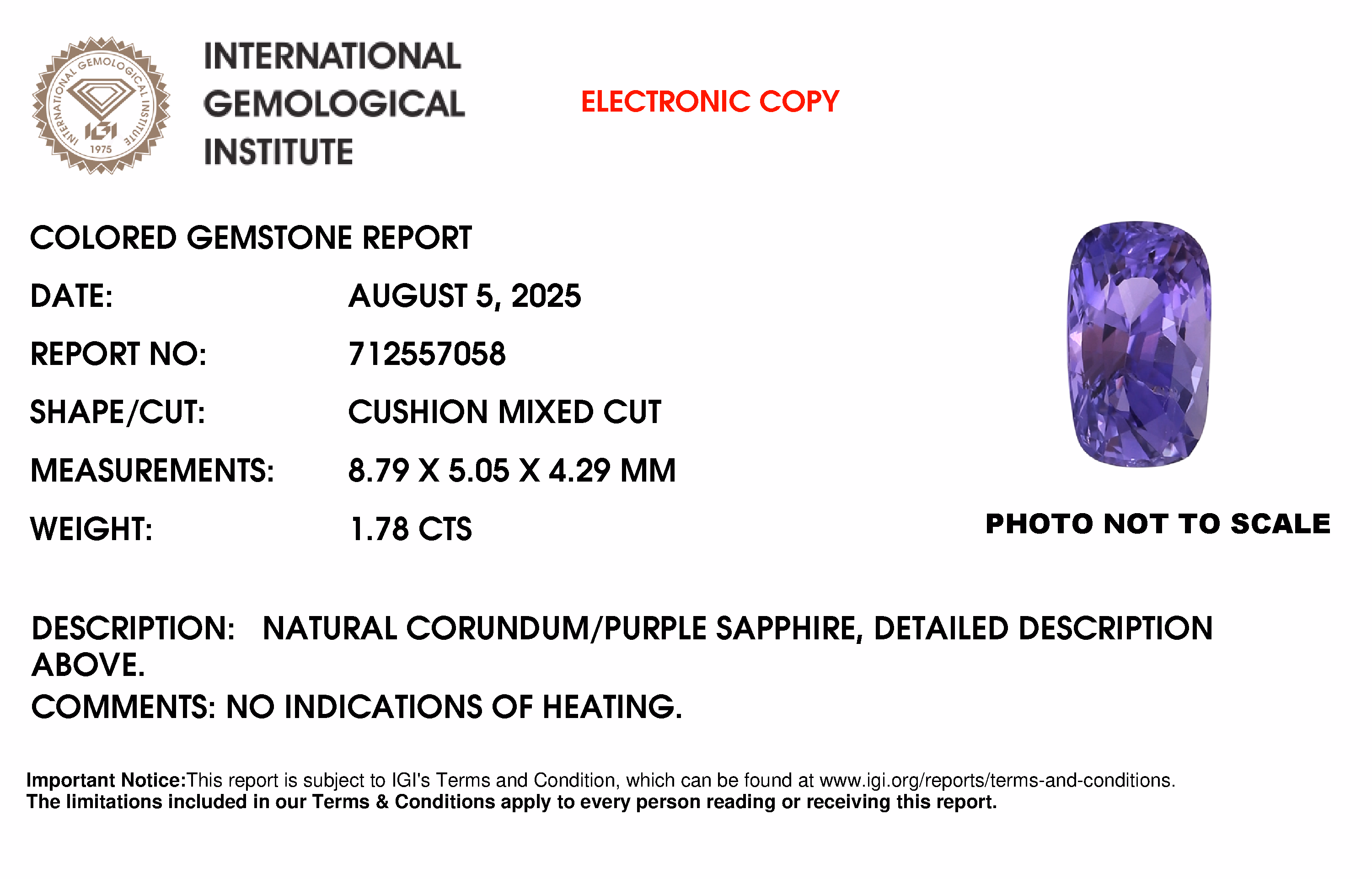 IGI lab report