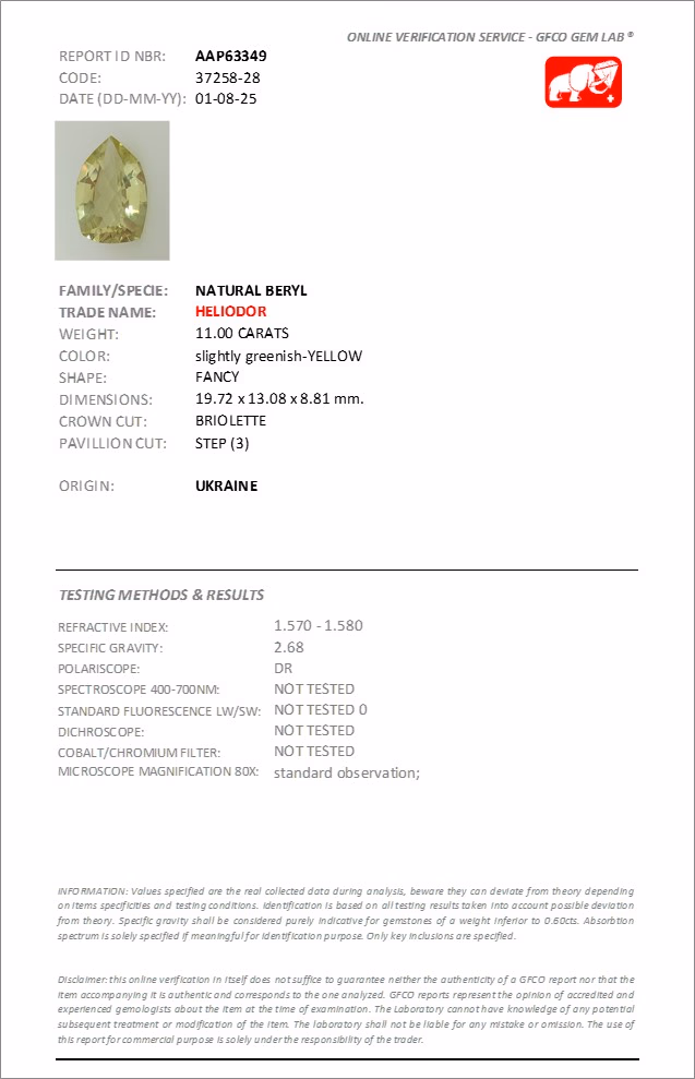 GFCO lab report
