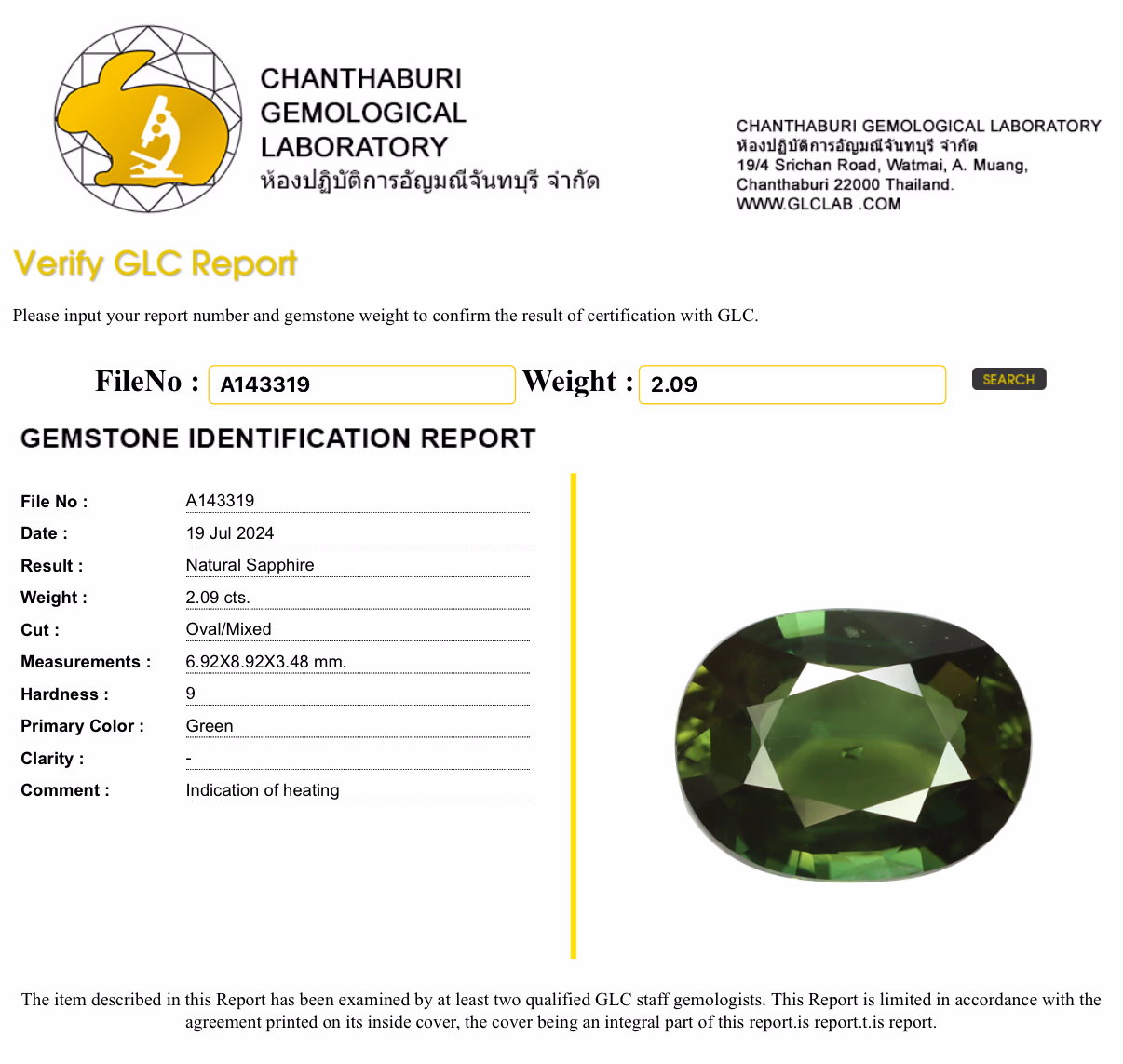 GLC lab report
