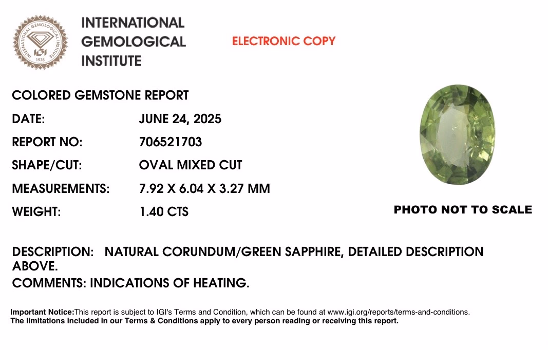IGI lab report