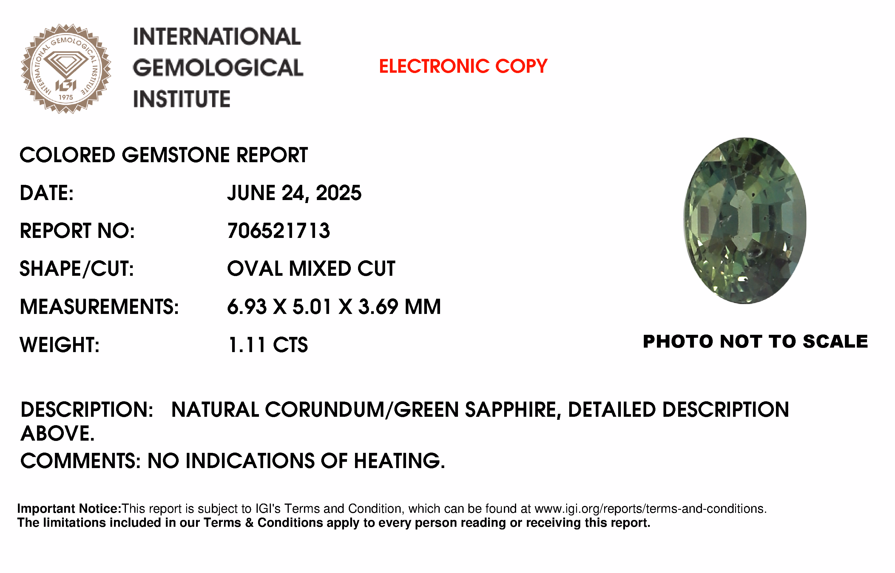 IGL lab report