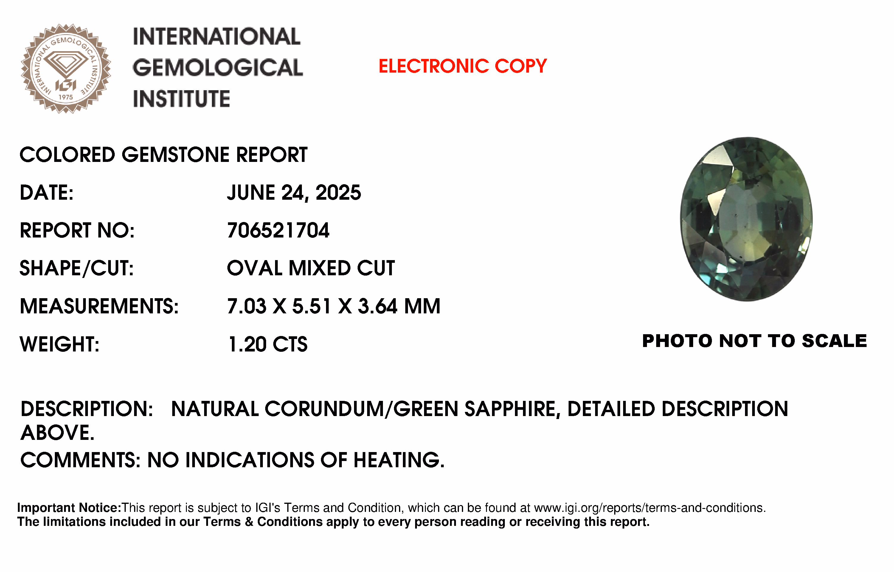 IGI lab report