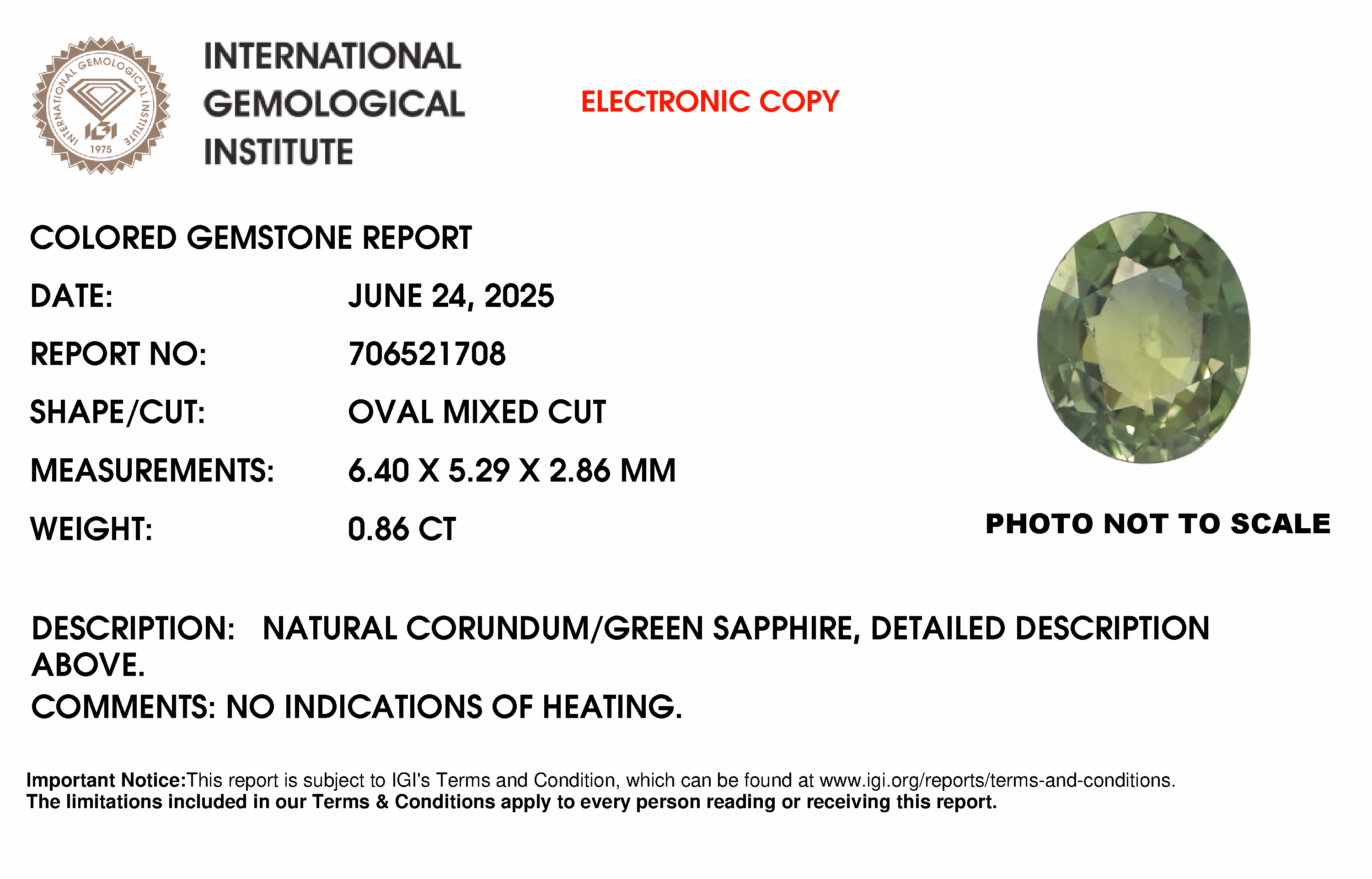 IGI lab report