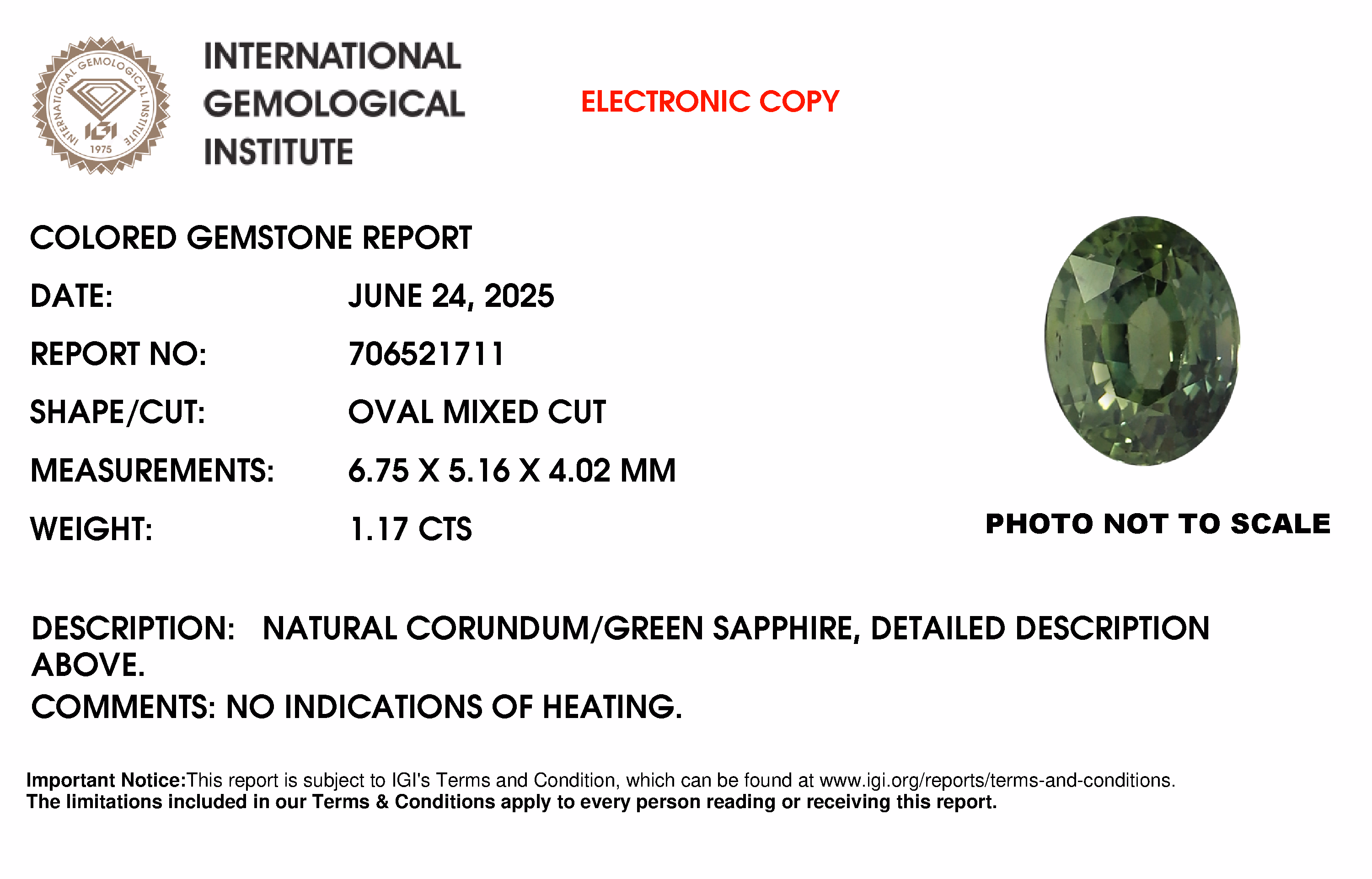 IGI lab report