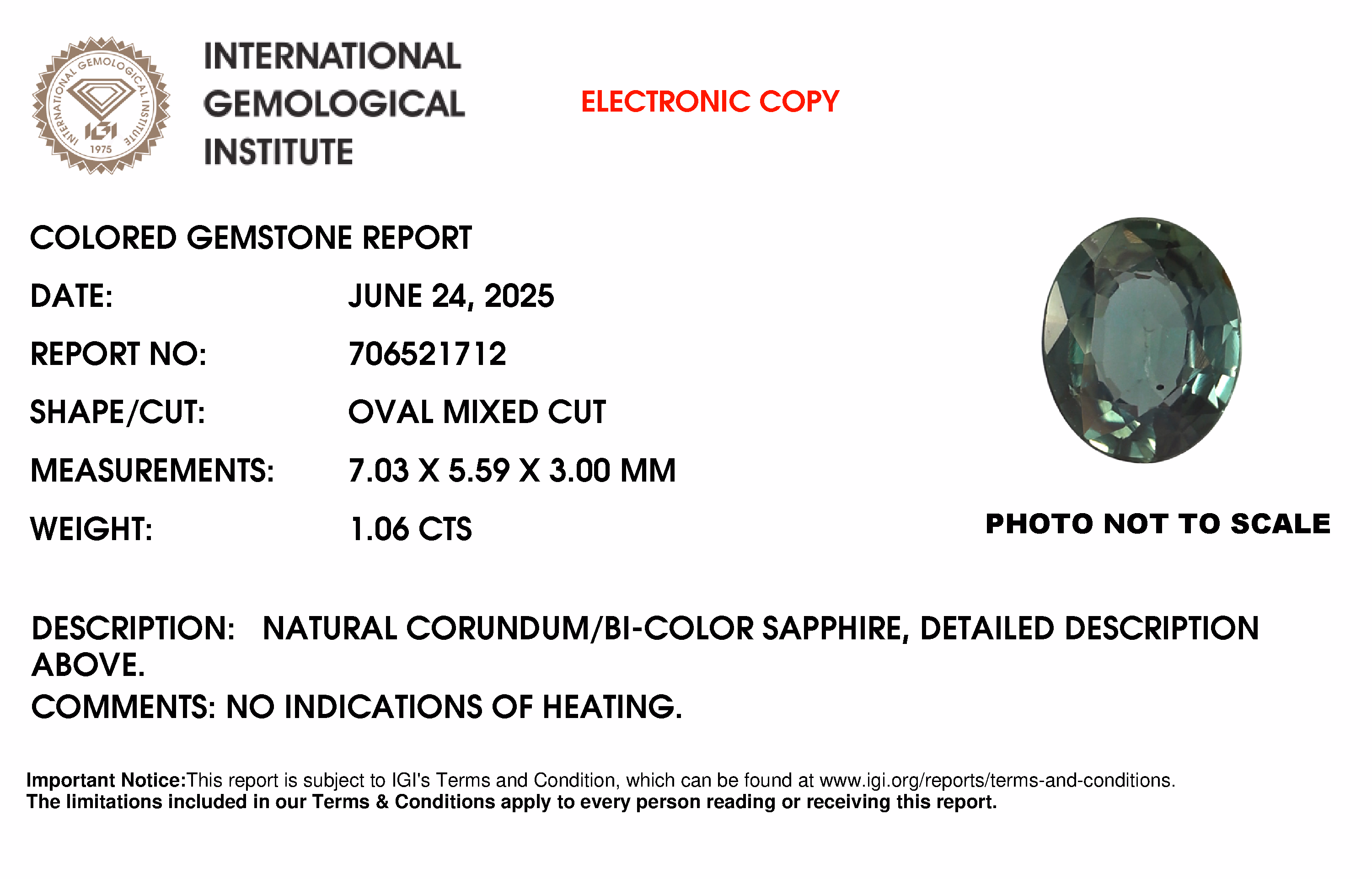 IGI lab report