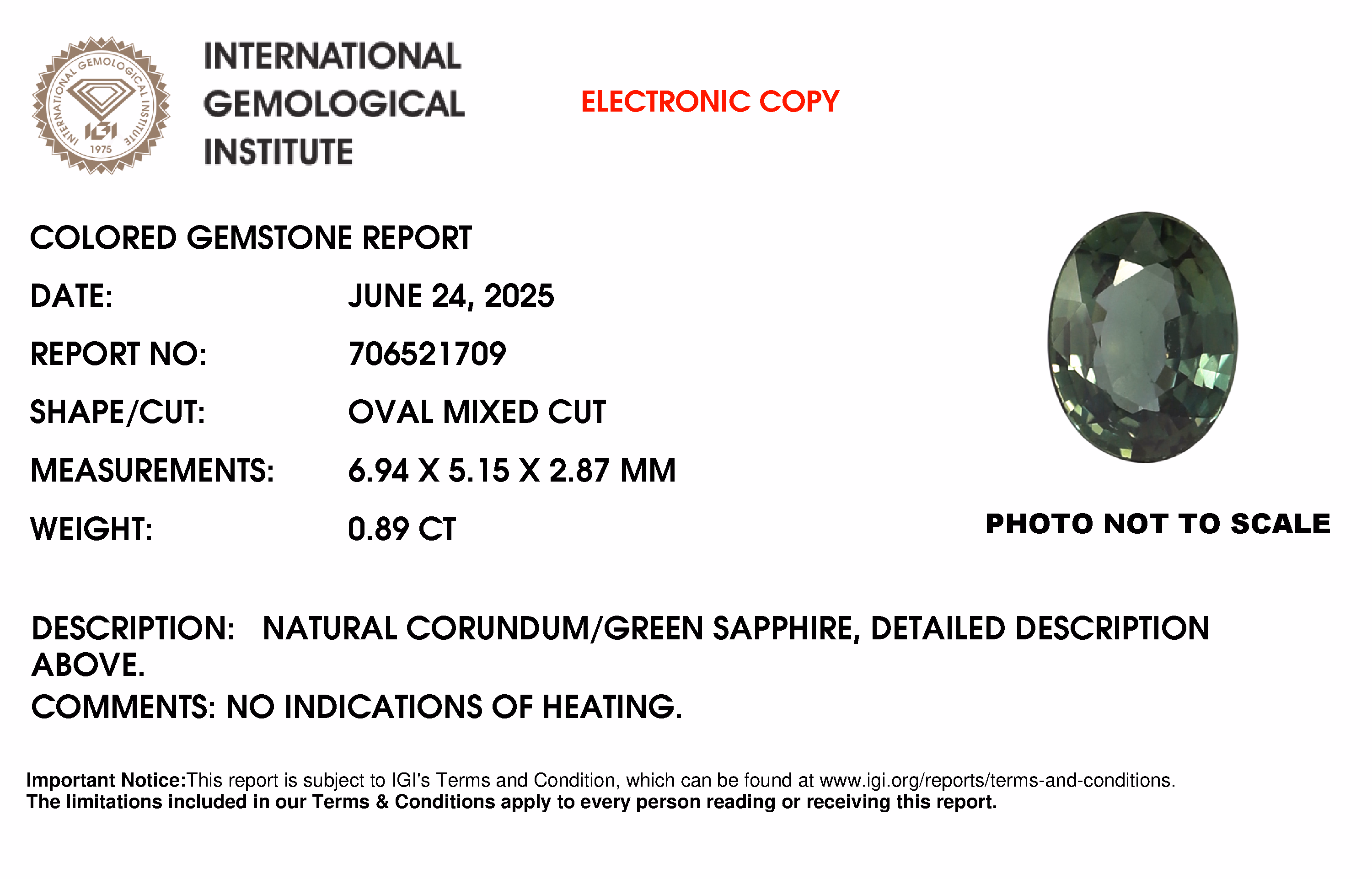 IGI lab report