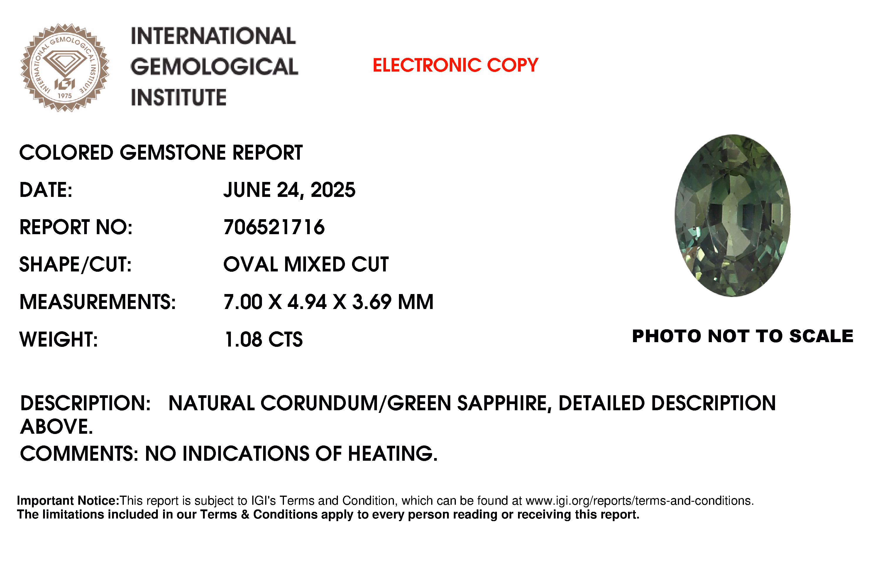 IGI lab report