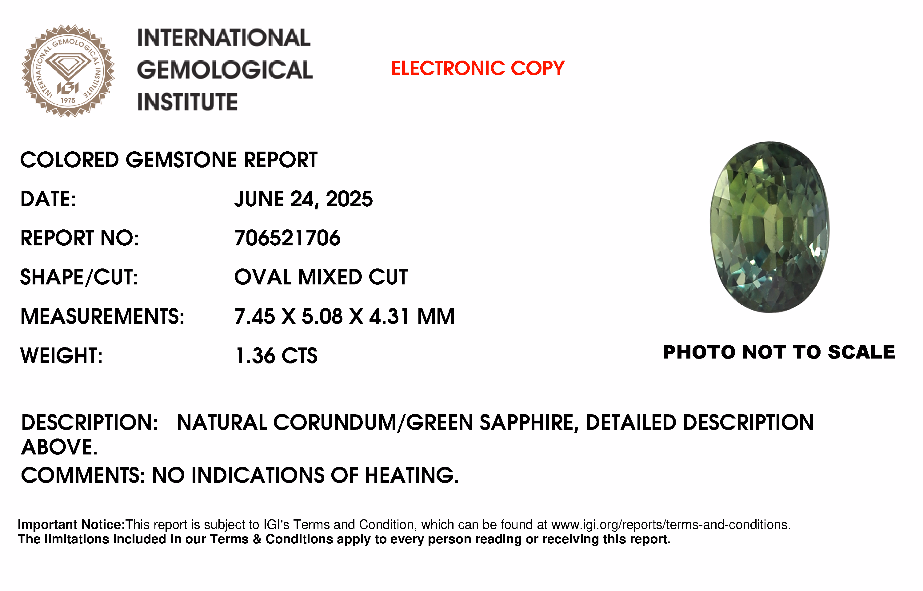 IGI lab report