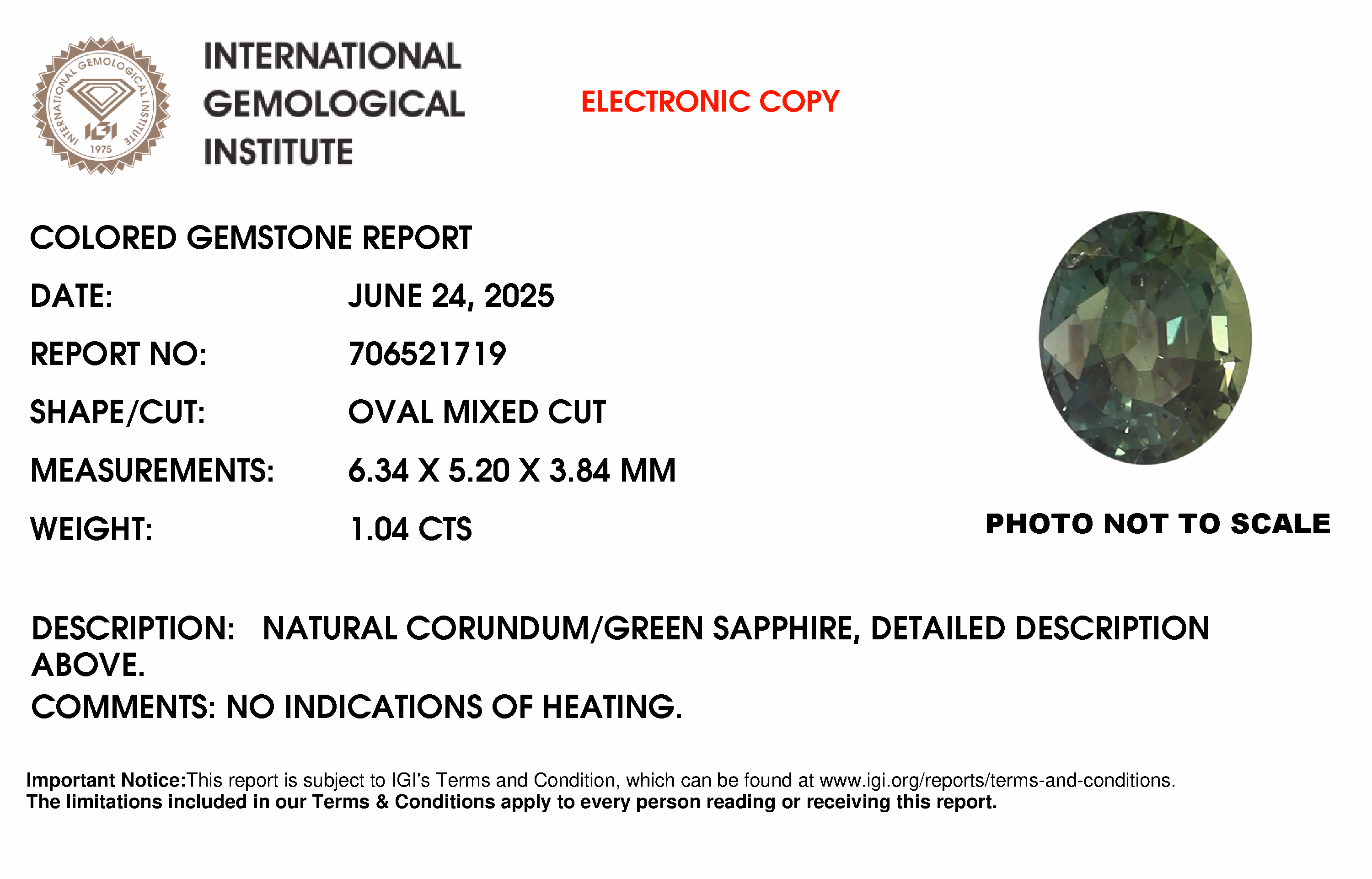 IGI lab report