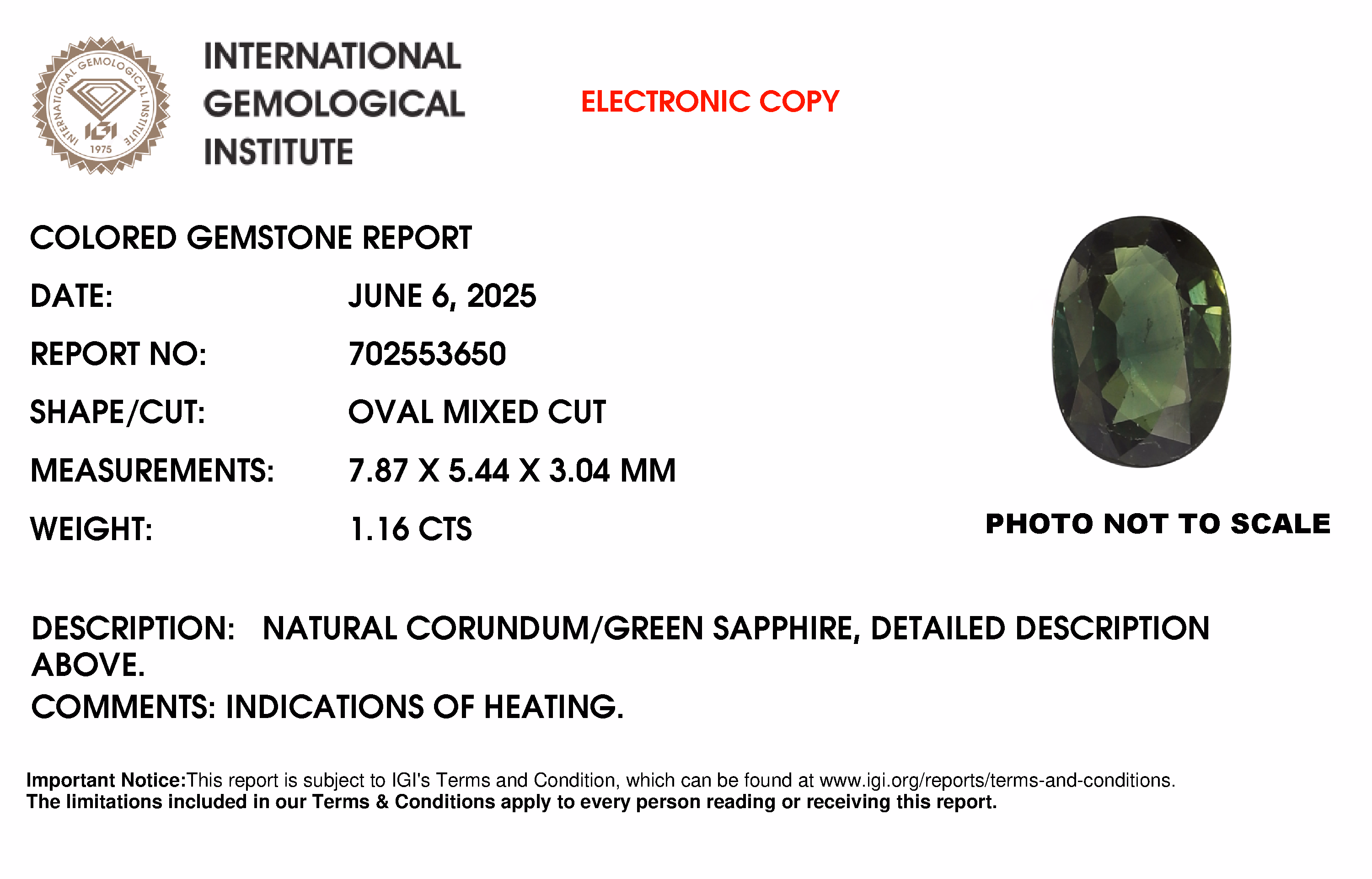 IGI lab report