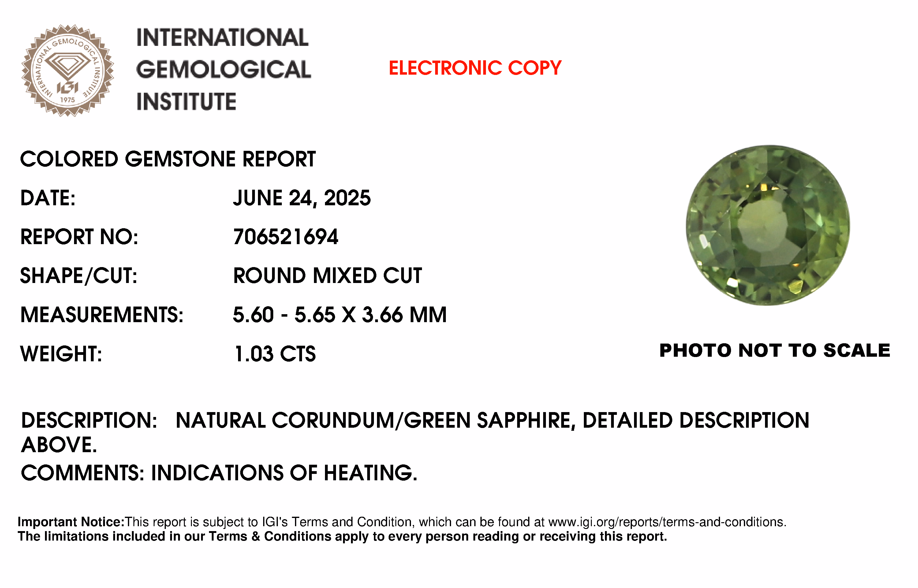 IGI lab report