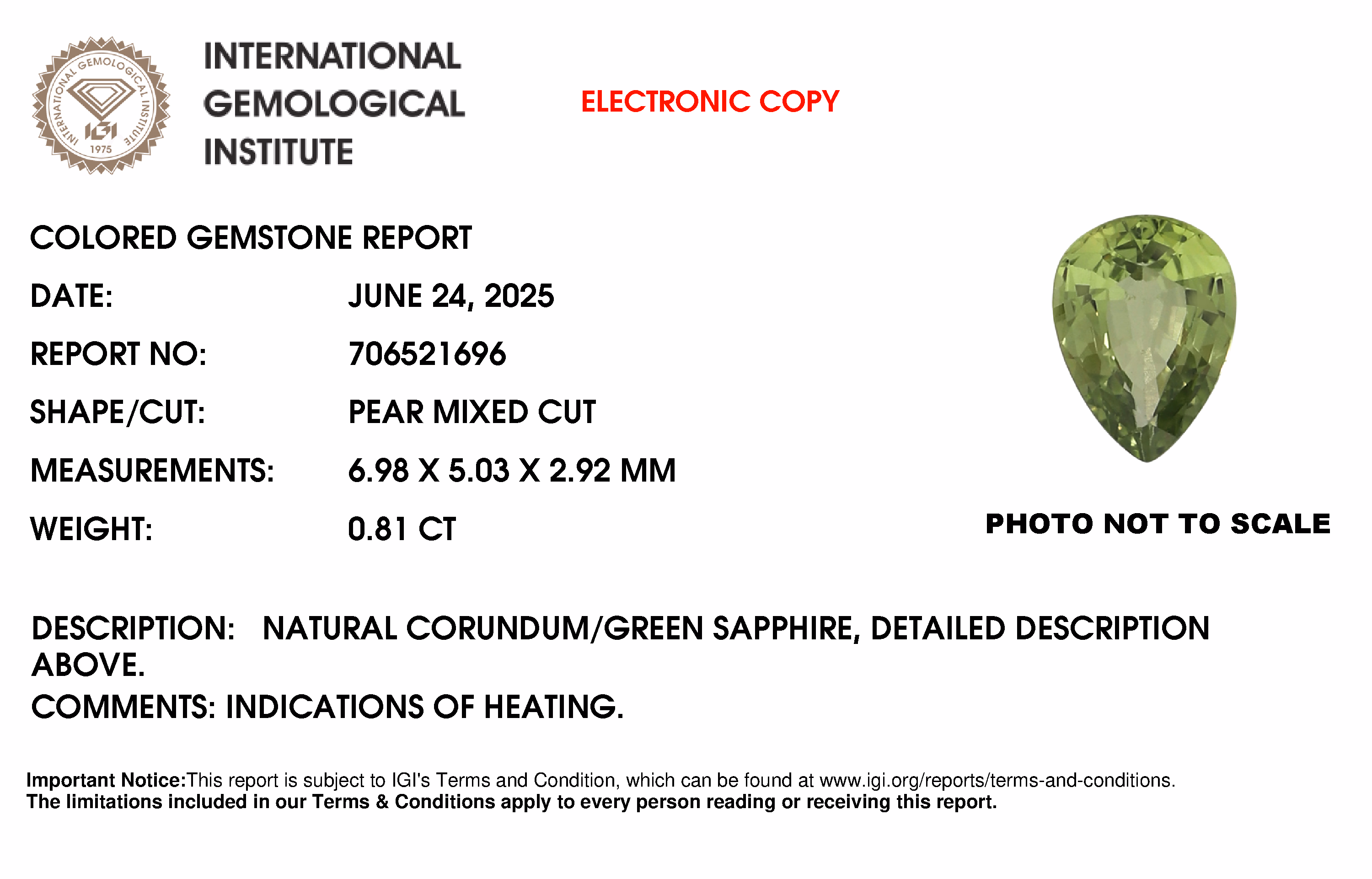 IGI lab report